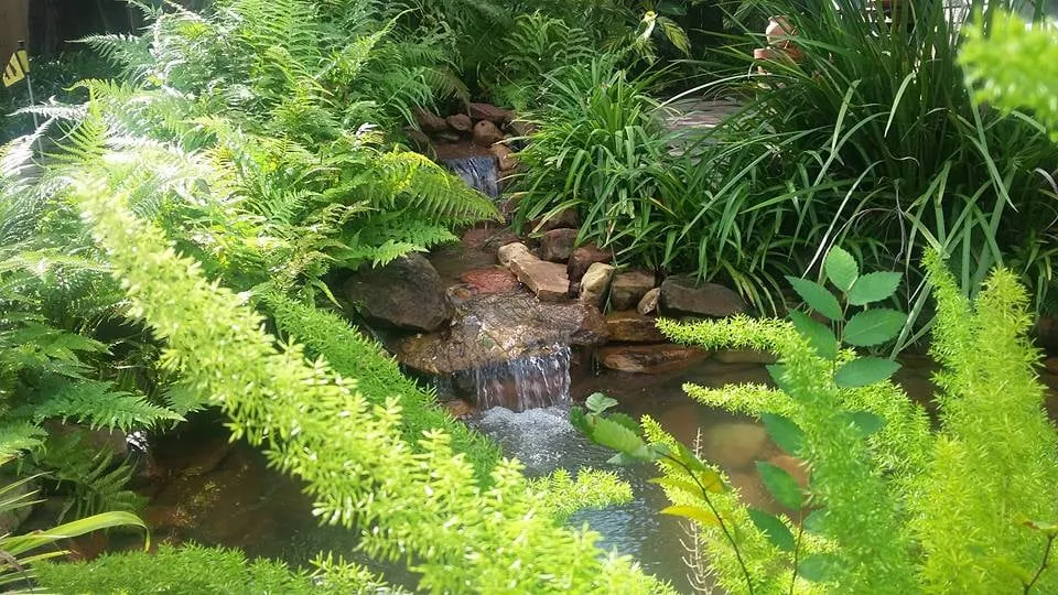 Expert landscaping services experts serving Houston, TX - Aquatic Landscaping & Outdoor Design