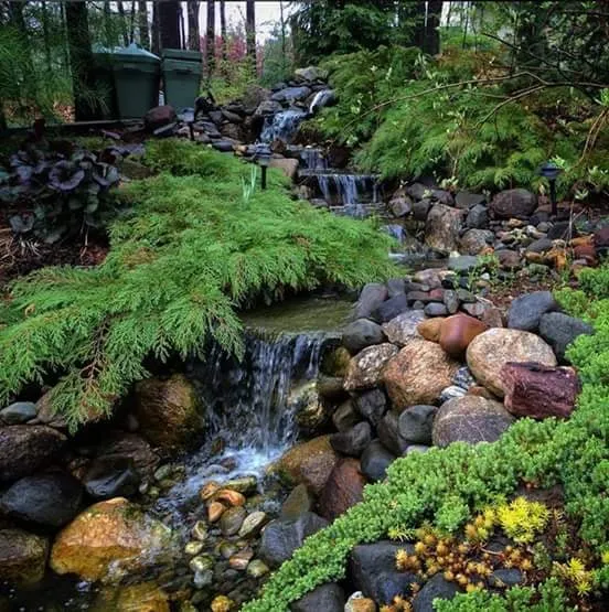 Top-rated lawn care service in Houston, TX by Aquatic Landscaping & Outdoor Design