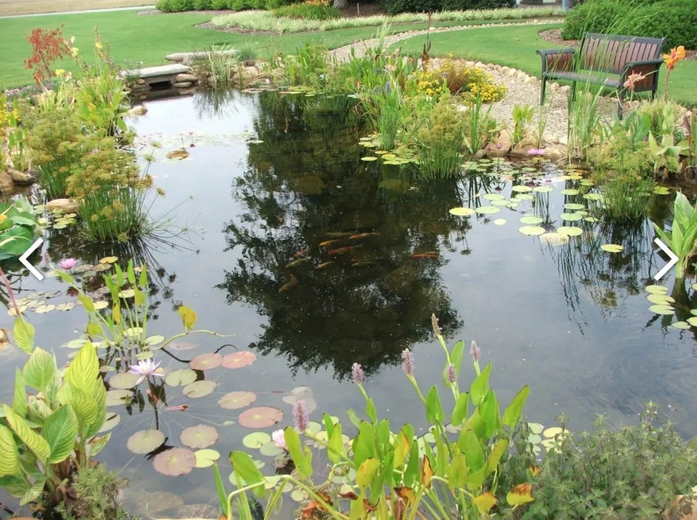 Affordable outdoor landscaping in Columbia, SC by Aquatic Lifestyles