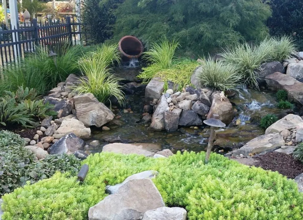 Local lawn care service experts serving Columbia, SC - Aquatic Lifestyles