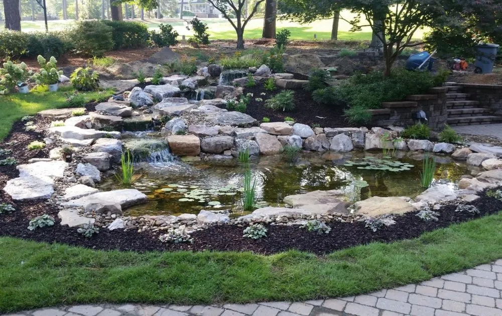 Professional yard cleanup service in Columbia, SC - Aquatic Lifestyles