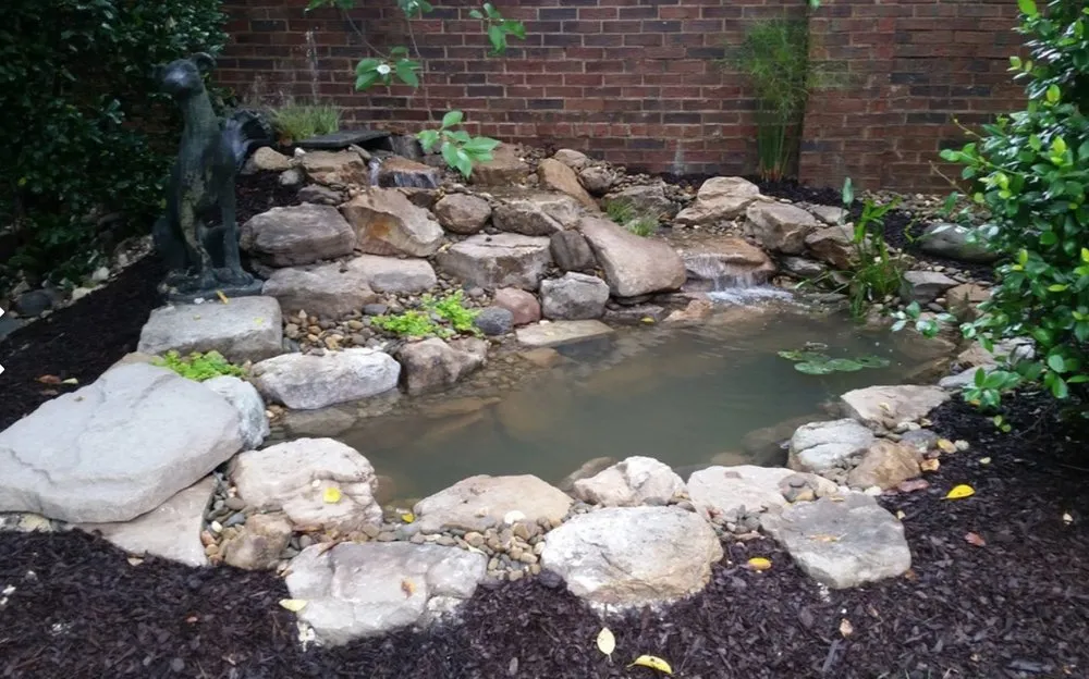 Top-rated outdoor landscaping in Columbia, SC - Aquatic Lifestyles