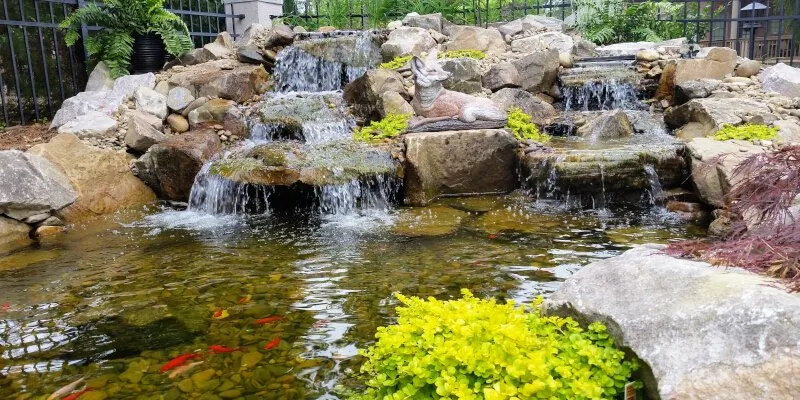 Top-rated residential landscaping for outdoor upgrades across Columbia, SC - Aquatic Lifestyles