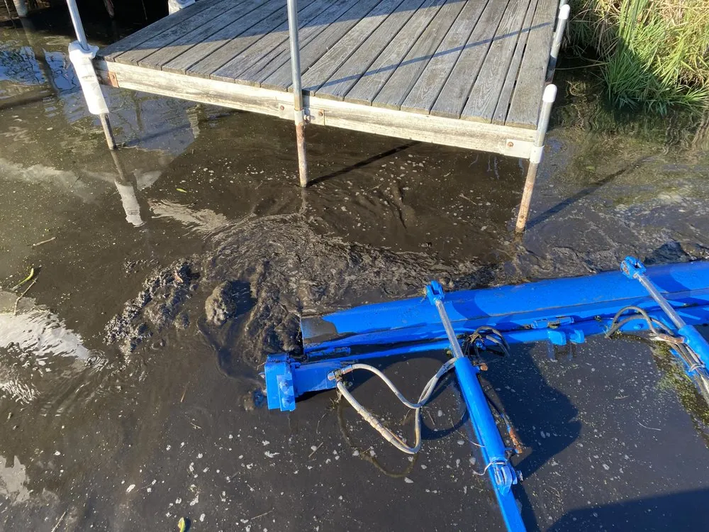 Expert yard cleanup service near you in Ashby, MN by Aquatic Restoration Service