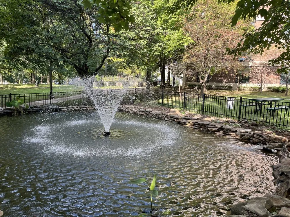 Expert landscaping services experts serving Versailles, KY - Aquatic Solutions