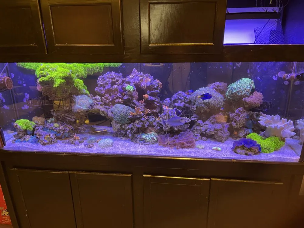 Trusted landscape installation in Versailles, KY by Aquatic Solutions