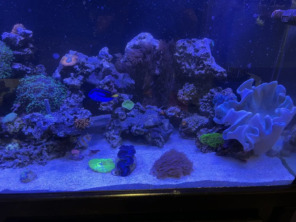 Affordable lawn mowing service in Versailles, KY - Aquatic Solutions