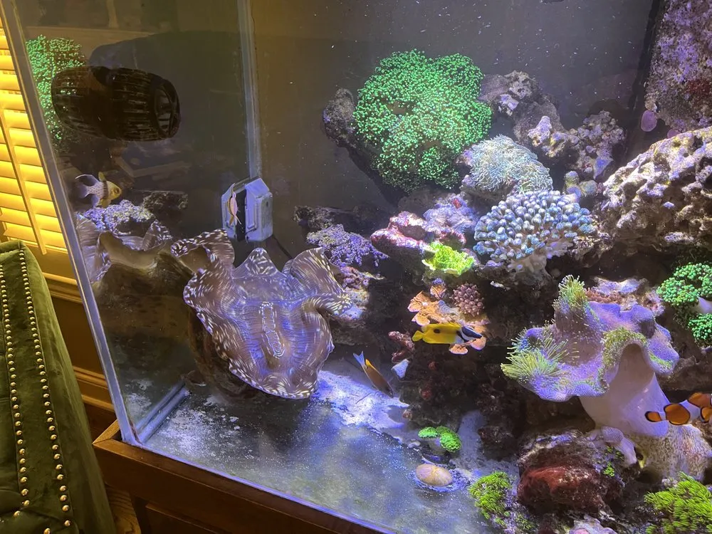 Reliable yard maintenance for year-round maintenance across Versailles, KY - Aquatic Solutions