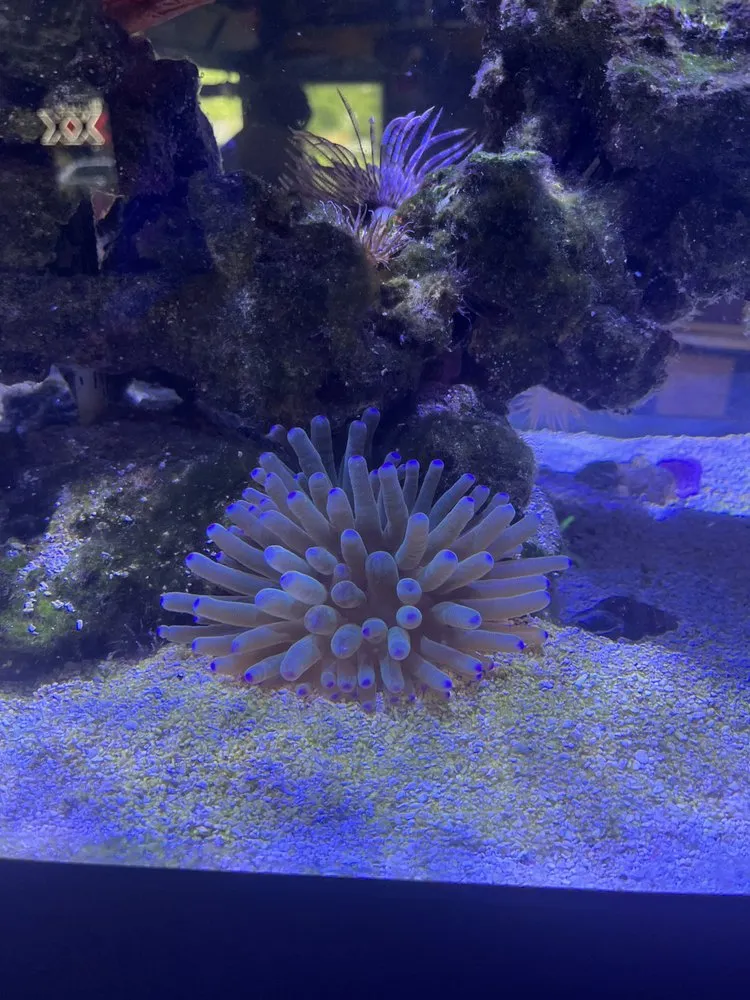 Custom lawn mowing service in Versailles, KY by Aquatic Solutions