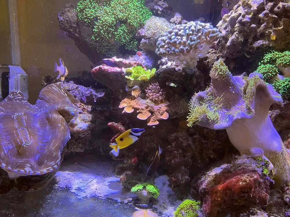 Professional landscape installation for beautiful yards across Versailles, KY - Aquatic Solutions