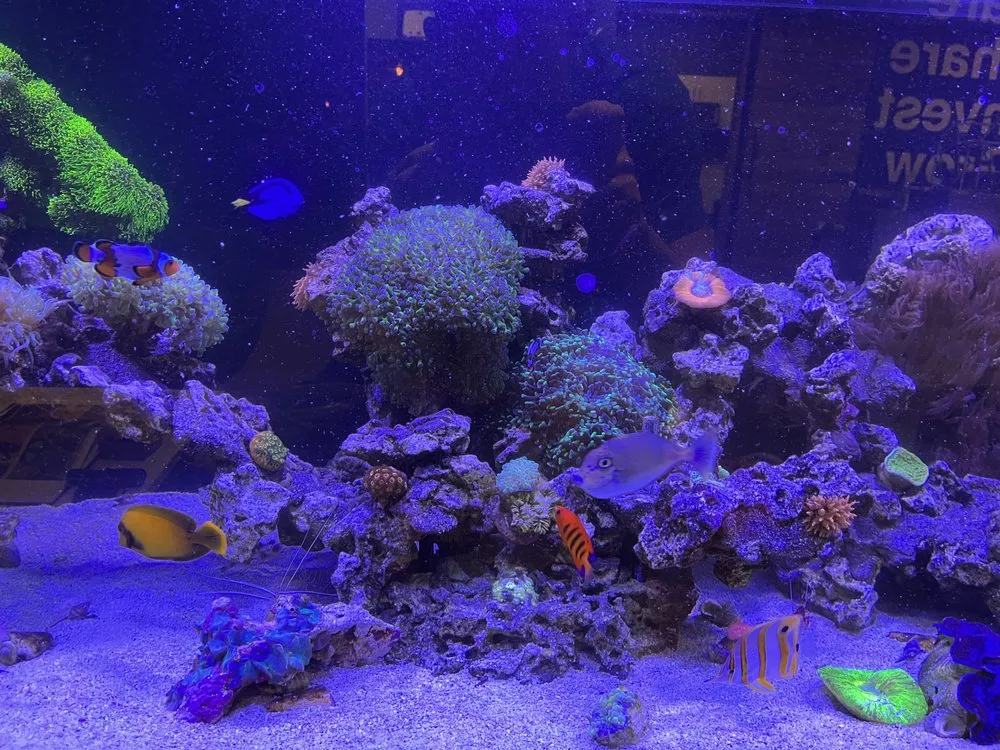 Professional residential landscaping in Versailles, KY - Aquatic Solutions