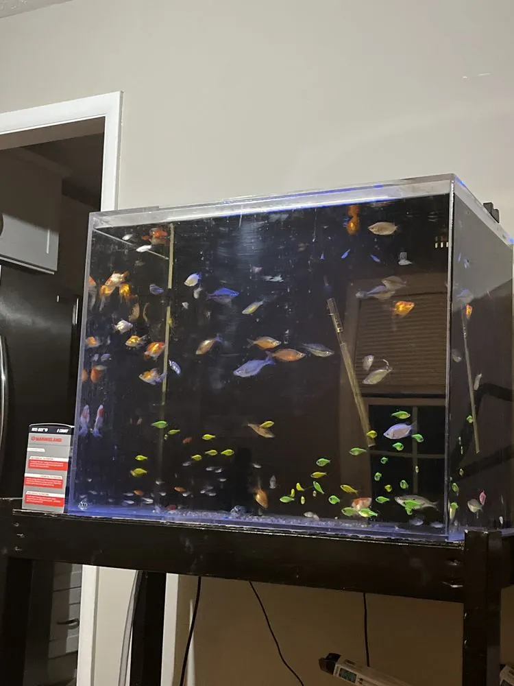 Custom yard maintenance for beautiful yards in Versailles, KY by Aquatic Solutions