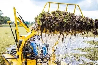 Top-rated yard maintenance in Kissimmee, FL by Aquatic Weed Removal Company