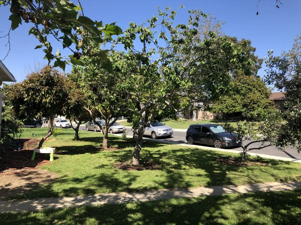 Reliable residential landscaping in Bellflower, CA - Aquatlan Landscaping