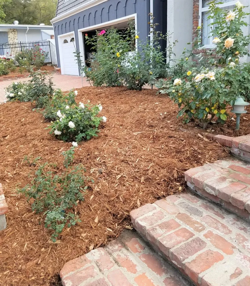 Expert lawn mowing service in Bellflower, CA - Aquatlan Landscaping