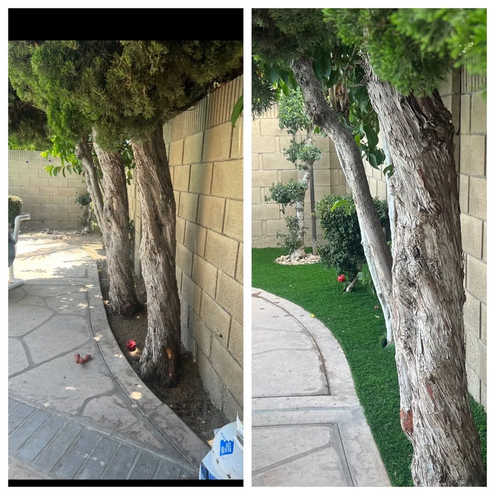 Affordable landscape installation in Bellflower, CA - Aquatlan Landscaping