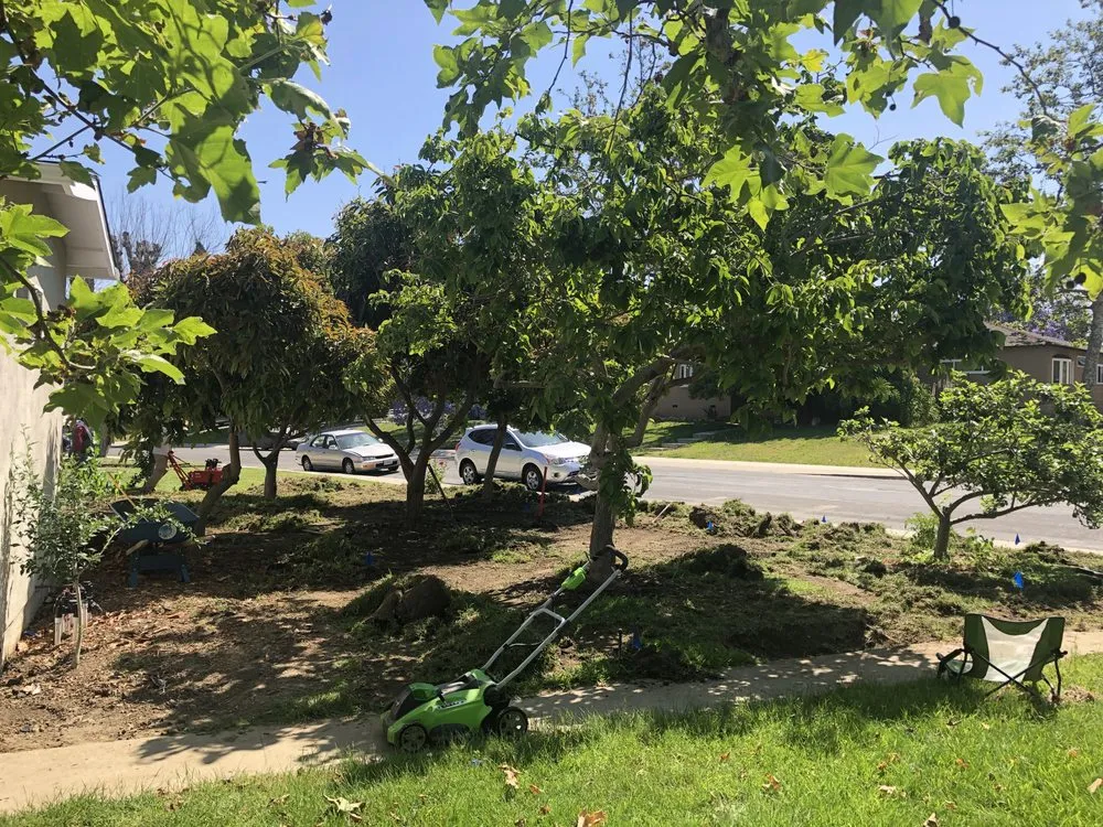 Reliable garden landscaping in Bellflower, CA - Aquatlan Landscaping