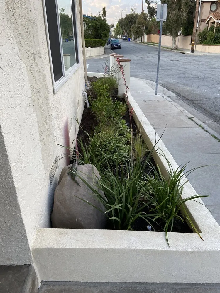 Affordable lawn care service experts serving Bellflower, CA - Aquatlan Landscaping