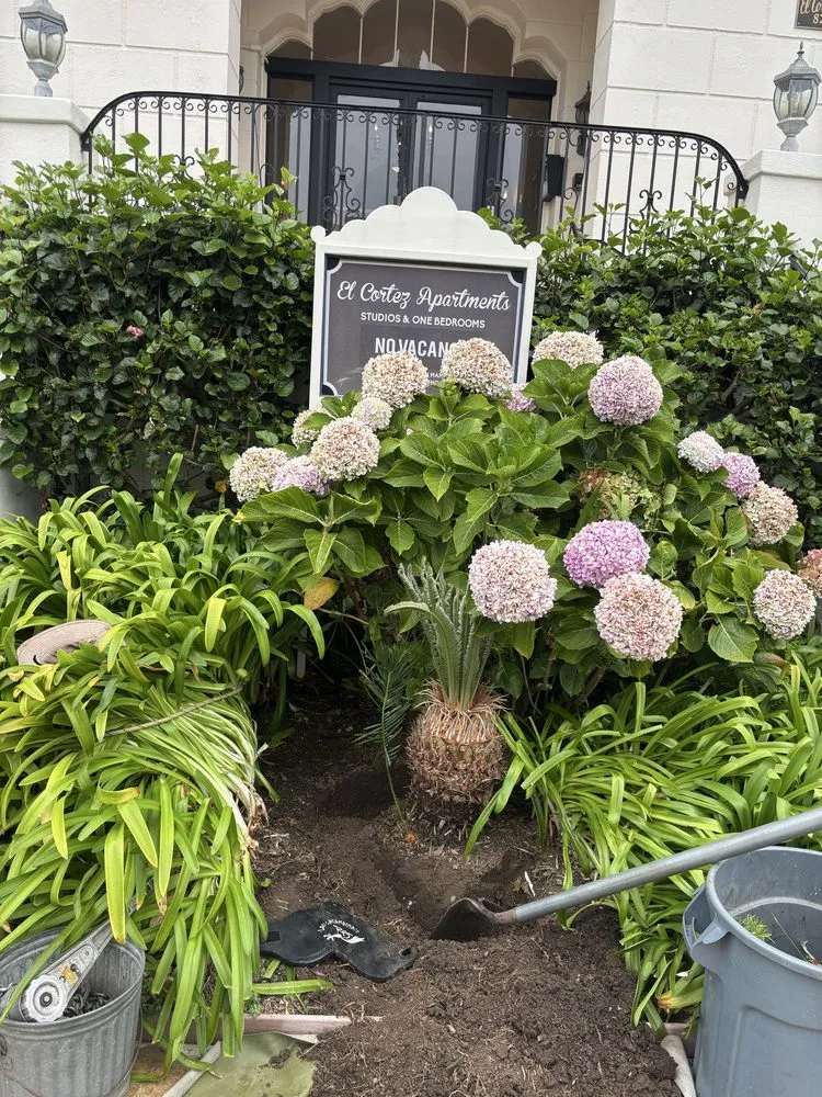 Custom landscape design for homes in Bellflower, CA by Aquatlan Landscaping