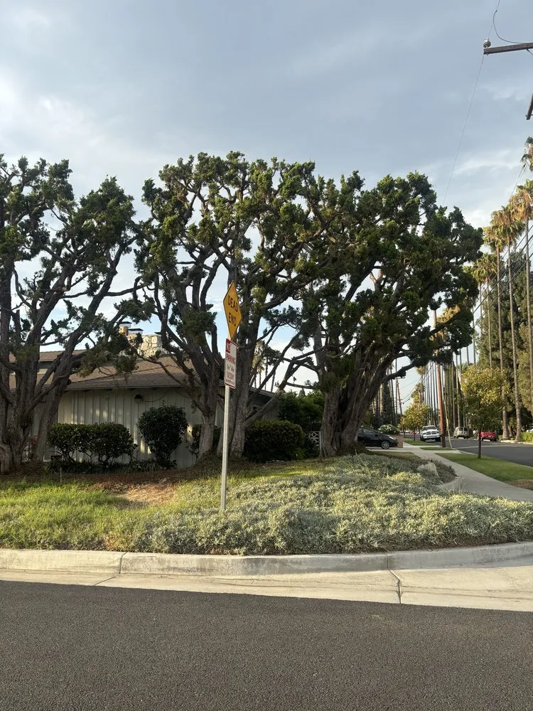 Local garden landscaping experts serving Bellflower, CA - Aquatlan Landscaping