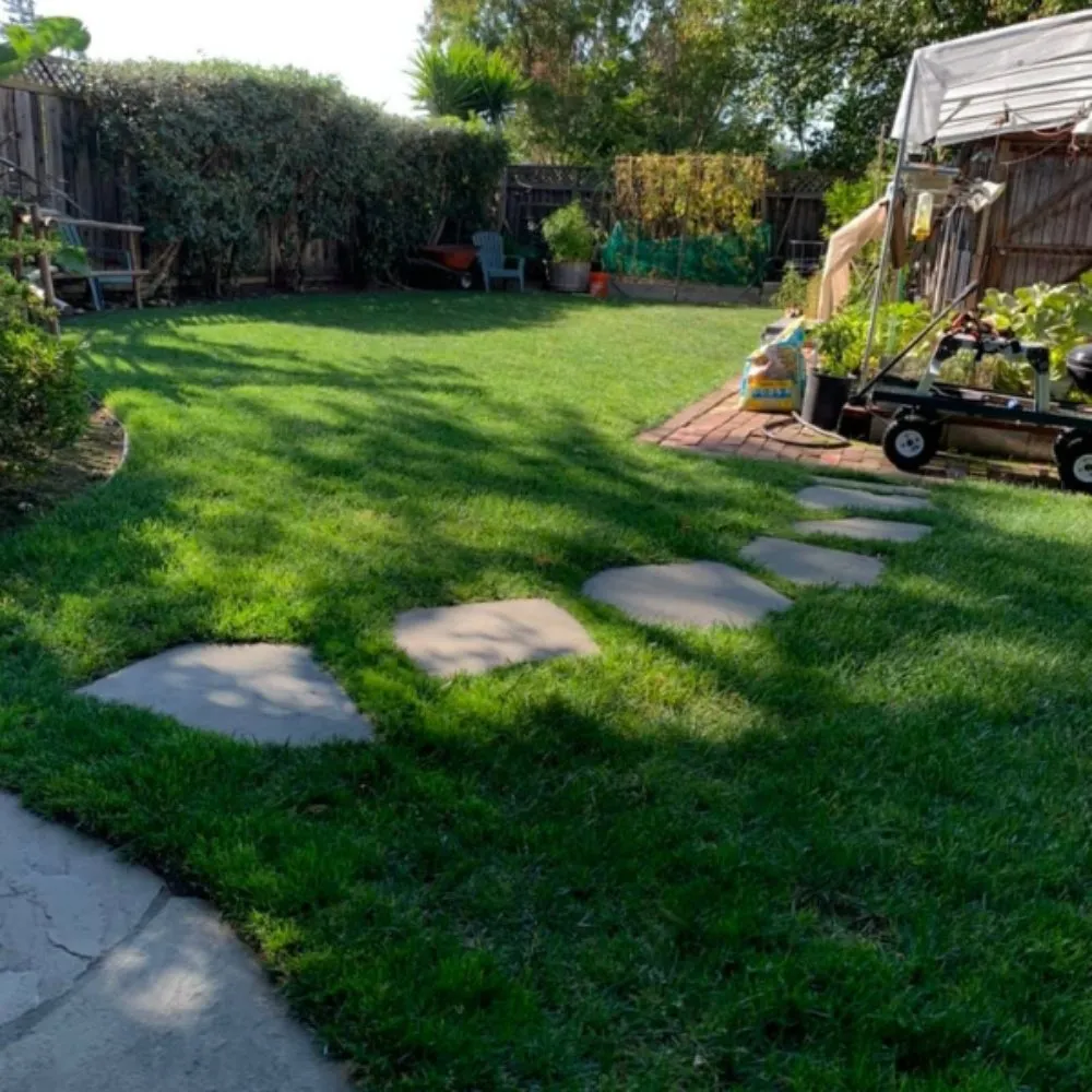 Professional landscape installation experts serving Lindenhurst, IL - Aquavato Pondscapes