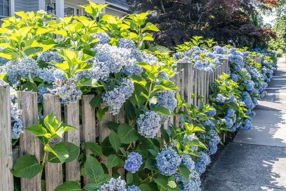 Top-rated outdoor landscaping in Portsmouth, RI - Aquidenck Landworks