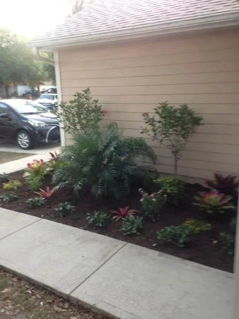 Affordable lawn care service in Palm Bay, FL - Aquidneck Lawn & Landscapes