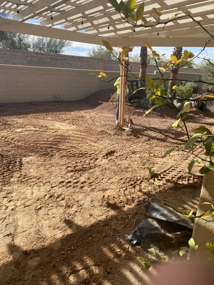 Professional landscape installation in Goodyear, AZ - Aquienta Pools & Landscaping