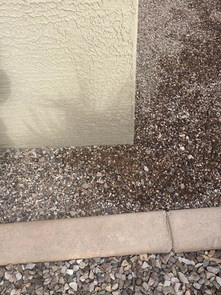 Professional yard maintenance in Goodyear, AZ by Aquienta Pools & Landscaping