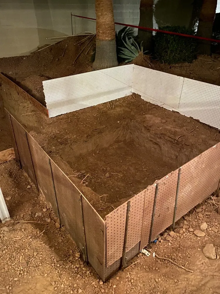 Affordable landscaping services in Goodyear, AZ by Aquienta Pools & Landscaping