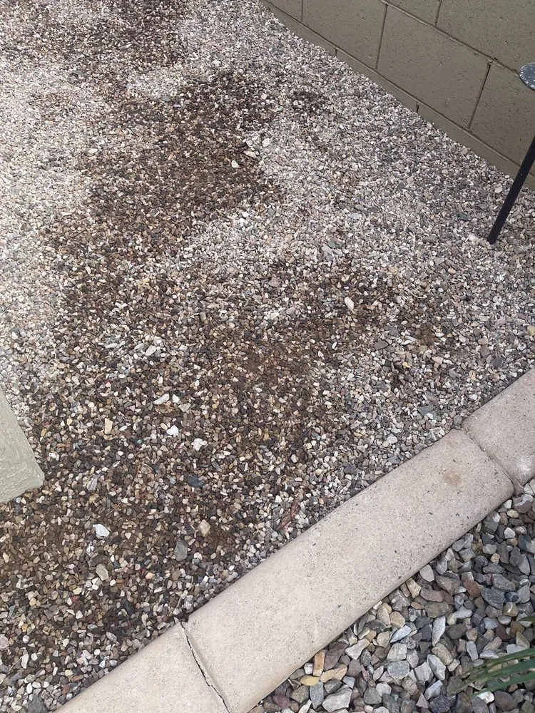 Local yard maintenance experts serving Goodyear, AZ - Aquienta Pools & Landscaping