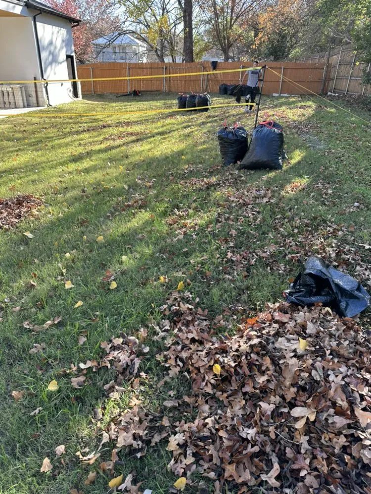 Expert yard maintenance in Fort Worth, TX by Aquiles Landscaping