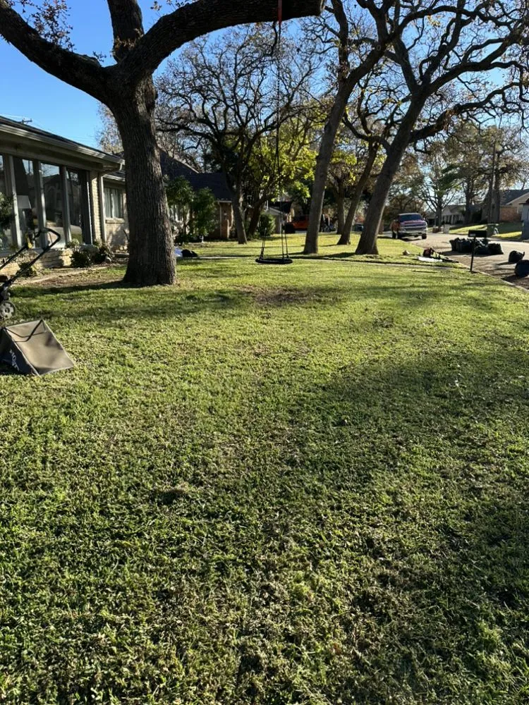 Reliable landscape design in Fort Worth, TX by Aquiles Landscaping