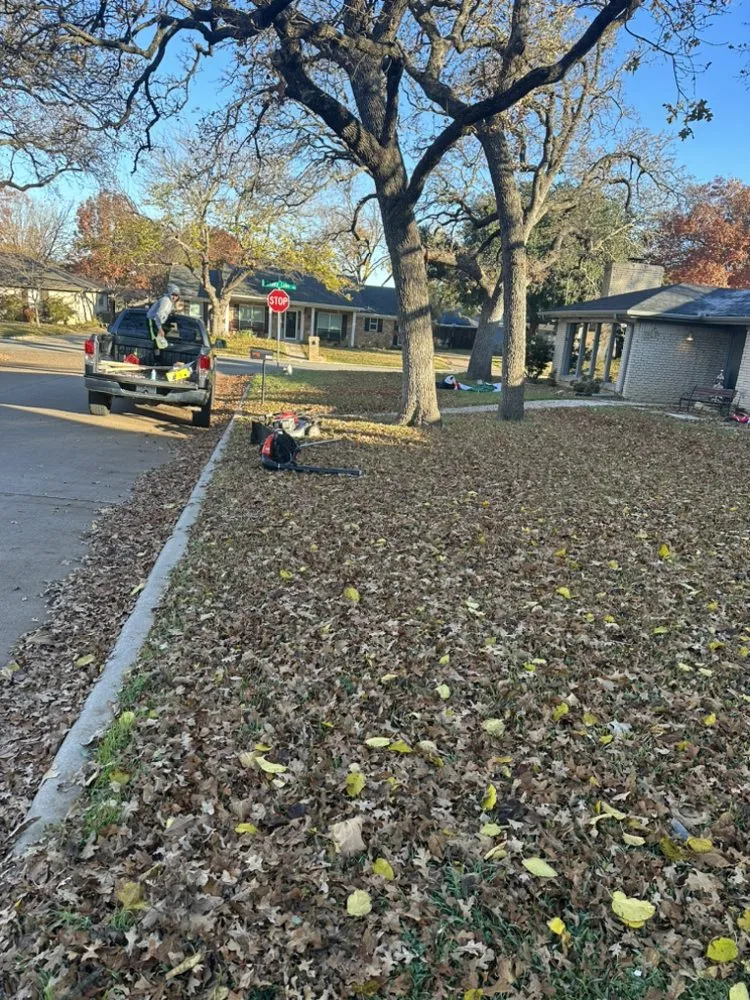 Local lawn care service in Fort Worth, TX by Aquiles Landscaping