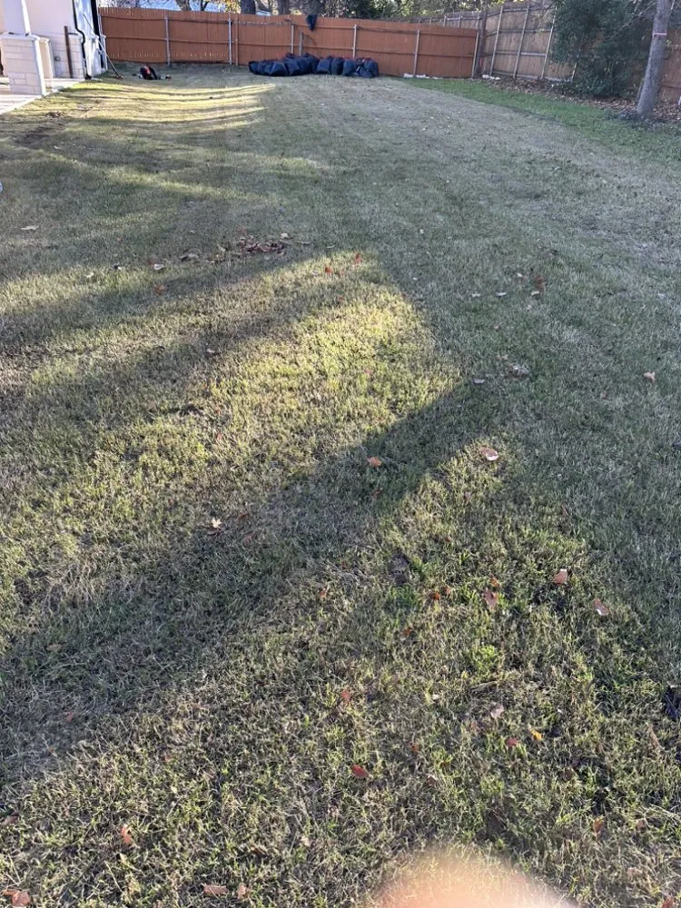 Trusted lawn care service for residential properties across Fort Worth, TX - Aquiles Landscaping