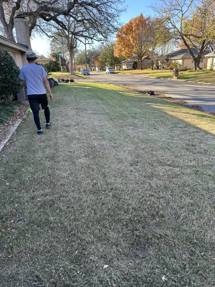 Local yard maintenance for outdoor upgrades across Fort Worth, TX - Aquiles Landscaping