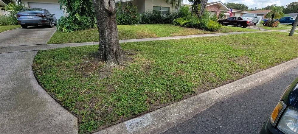 Affordable landscaping services for residential properties across TEMPLE TERR, FL - Aquino & son land art
