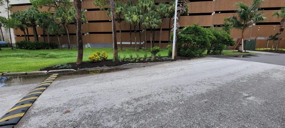 Reliable landscaping services in TEMPLE TERR, FL by Aquino & son land art