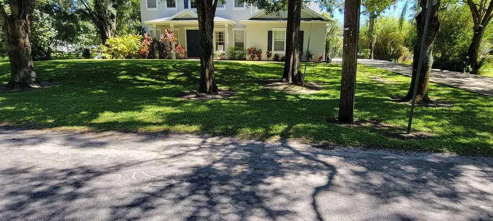 Expert yard maintenance near you in TEMPLE TERR, FL by Aquino & son land art