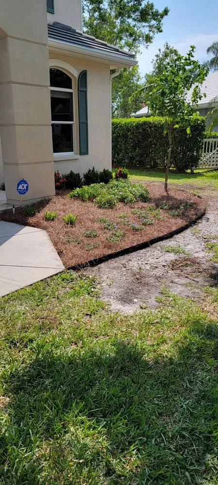 Professional residential landscaping experts serving TEMPLE TERR, FL - Aquino & son land art