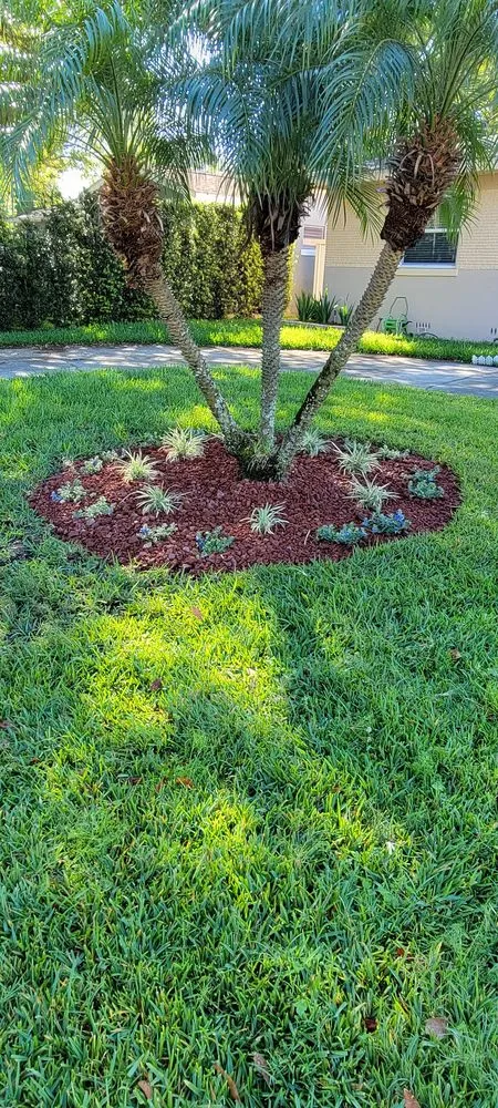Top-rated residential landscaping with custom design in TEMPLE TERR, FL by Aquino & son land art
