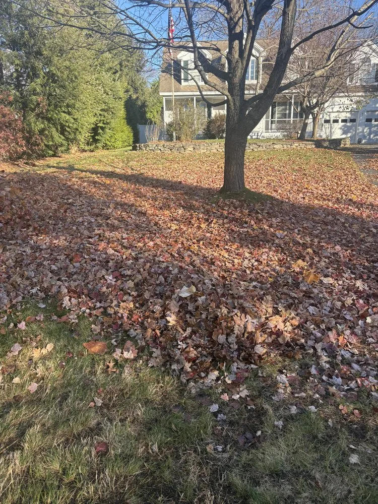 Affordable residential landscaping in Acton, MA by Aquino Landscaping & Construction