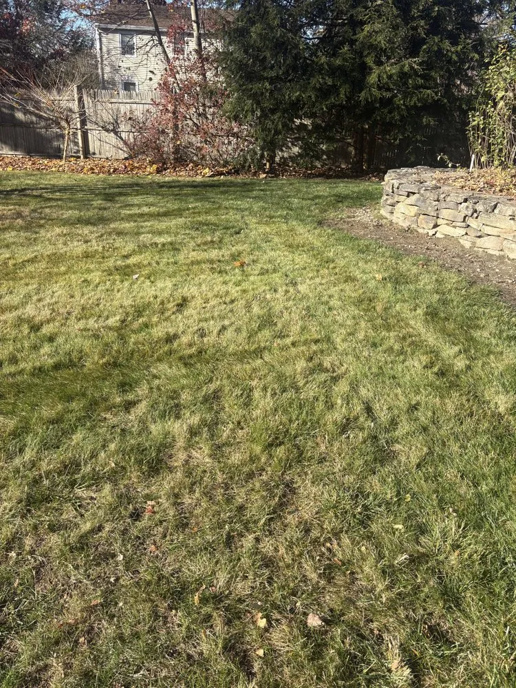 Reliable landscaping services in Acton, MA by Aquino Landscaping & Construction