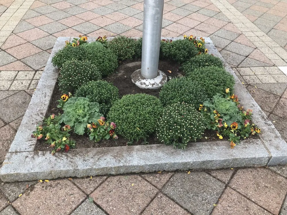 Expert yard maintenance for residential properties in Winchendon, MA by Aquino landscaping