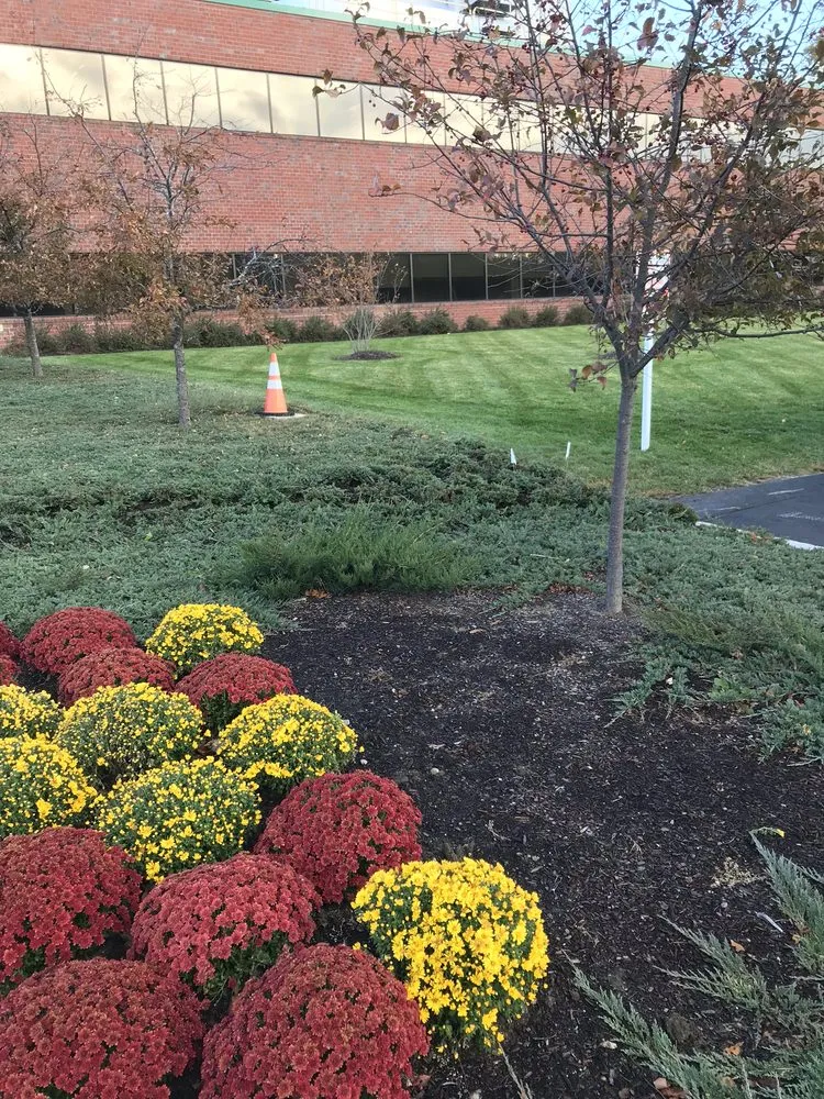 Affordable landscape installation for year-round maintenance across Winchendon, MA - Aquino landscaping