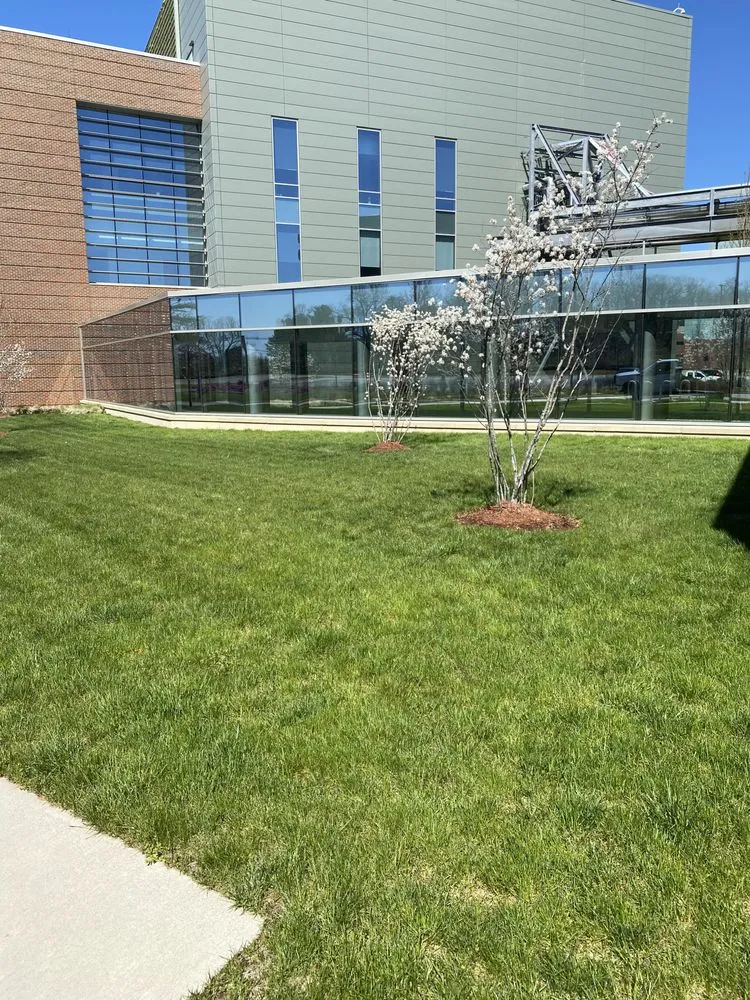 Trusted yard cleanup service experts serving Winchendon, MA - Aquino landscaping