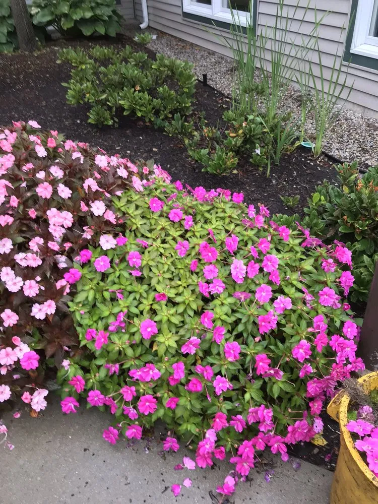 Trusted landscape installation experts serving Winchendon, MA - Aquino landscaping