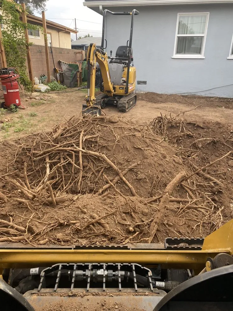 Top-rated landscape installation for outdoor upgrades across San Diego, CA - Aquino's Landscaping and Maintenance