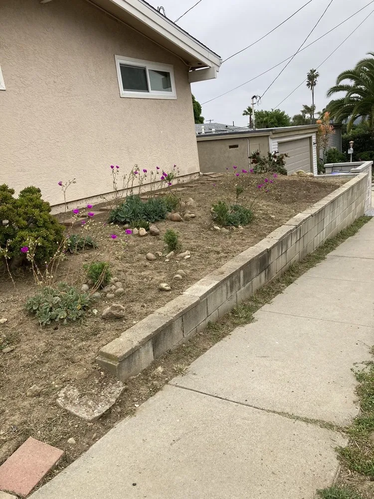 Professional lawn care service in San Diego, CA - Aquino's Landscaping and Maintenance