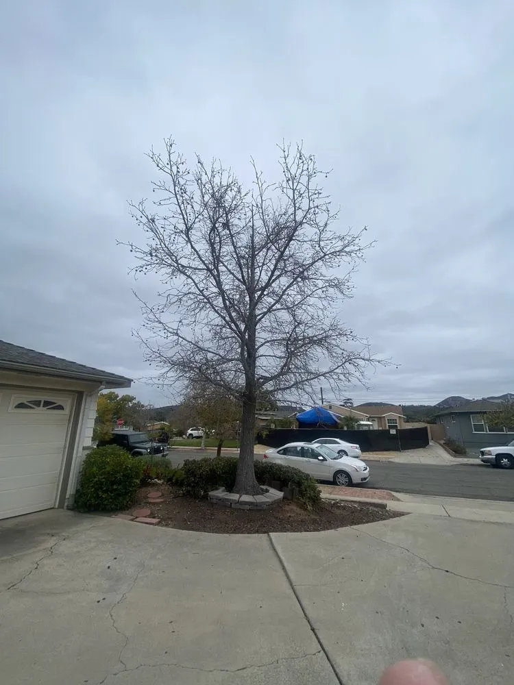 Affordable garden landscaping experts serving San Diego, CA - Aquino's Landscaping and Maintenance